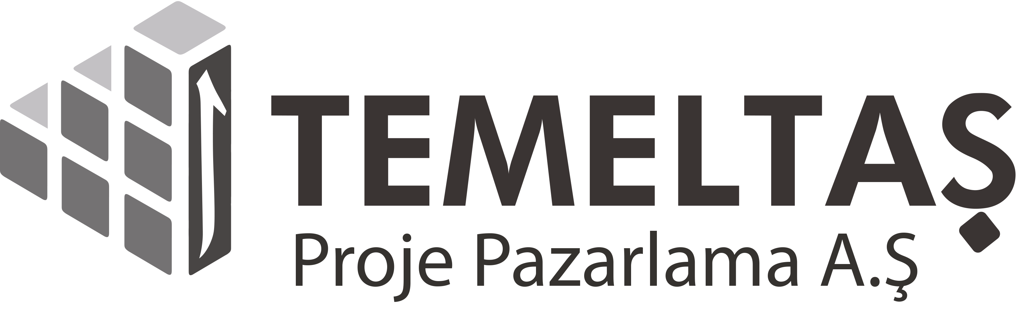 TEMELTAŞ PROJE logosu
